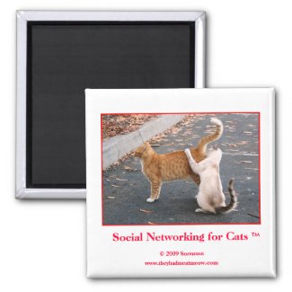 Social Networking for Cats Magnet zazzle_magnet