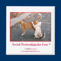 Social Networking for Cats Magnet magnets