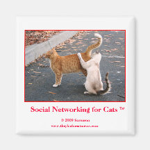 Social Networking for Cats Magnet