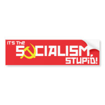 Socialism Stupid - Red Bumper Sticker