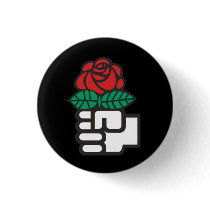 Socialist International Pin
