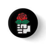 Socialist International Pin