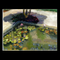 Society of the Four Arts postcard postcards