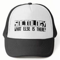 Sociology What Else Is There?