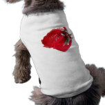 Sock Monkey Love #6 Dog Clothing