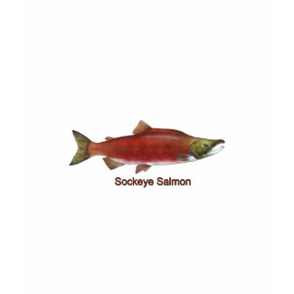 Sockeye - Red Salmon (titled) shirt