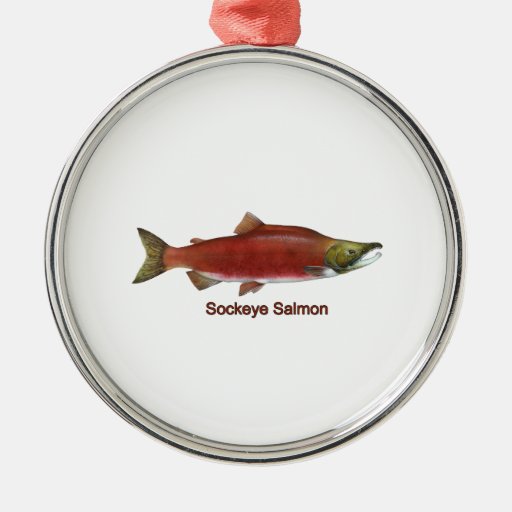 sockeye salmon ornament zazzle sockeye salmon ornament zazzle