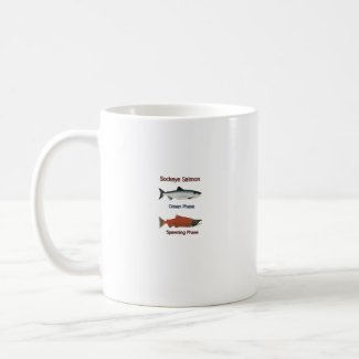 Sockeye Salmon phases mug