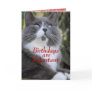Socks cat  birthday card..- ffor any occasion