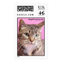Socks - dognkittycity.org Stamp