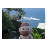 Socky in Hawaii Greeting Card