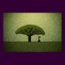 Socotra Poster