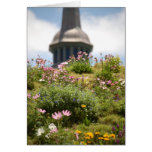 Sod Roof in Norway Cards