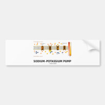 Sodium-Potassium Pump (Active Transport) Bumper Sticker