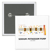 Sodium-Potassium Pump (Active Transport) Button