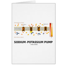 Sodium-Potassium Pump (Active Transport) Cards