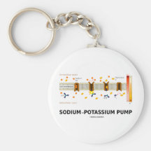Sodium-Potassium Pump (Active Transport) Keychain