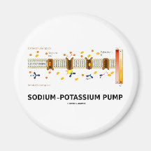 Sodium-Potassium Pump (Active Transport) Fridge Magnets