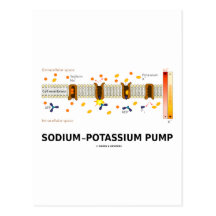 Sodium-Potassium Pump (Active Transport) Post Card
