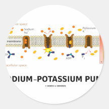 Sodium-Potassium Pump (Active Transport) Round Sticker