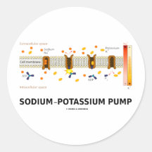 Sodium-Potassium Pump (Active Transport) Round Stickers