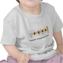 Sodium-Potassium Pump (Active Transport) T-shirt