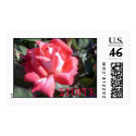 Sofi's Rose, STORGE-Love postage