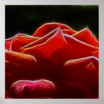 Soft and lovely petals print