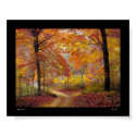 Soft Autumn Rain posters by GinaSignore Soft Autumn Rain posters
