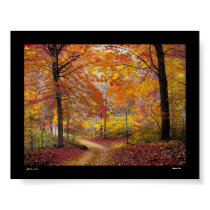 Soft Autumn Rain posters