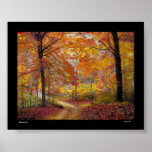 Soft Autumn Rain posters