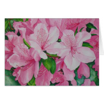 Soft Azaleas Greeting Cards