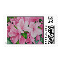 Soft Azaleas Postage Stamps