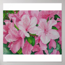 Soft Azaleas Posters