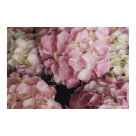 postcard - 