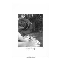 Soft Beauty posters