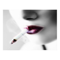 soft beuty posters by idesignme soft beuty posters