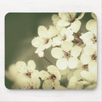Soft Blossom Sent Mousepad by starlingphotos Soft Blossom Sent Mousepad