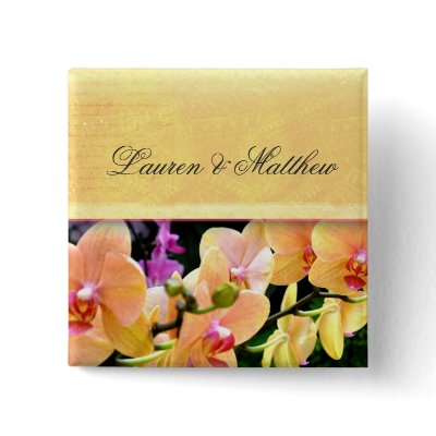 Buttercream Orchid