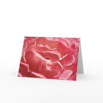 Soft cards by persaefonee Soft cards