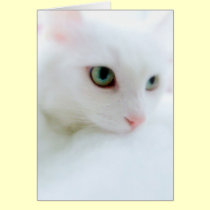 Soft Clouds cards by JCatGarden Soft Clouds cards