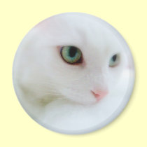 Soft Clouds magnets by JCatGarden Soft Clouds magnets