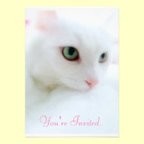 Soft Clouds invitations