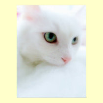 Soft Clouds posters