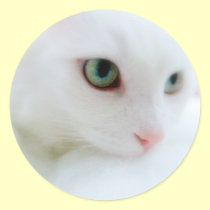 Soft Clouds stickers