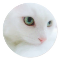Soft Clouds stickers