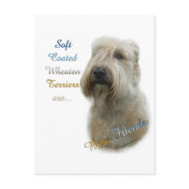 Soft Coated Wheaten Terrier Best Friend 2 Postcards