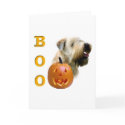 Soft Coated Wheaten Terrier Boo cards by GreyWolfCreation Soft Coated Wheaten Terrier Boo cards