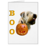 Soft Coated Wheaten Terrier Boo Cards