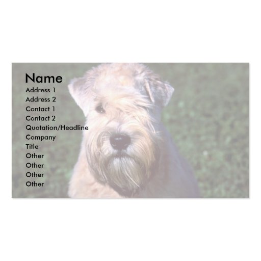 Soft-coated Wheaten Terrier Business Card (front side)